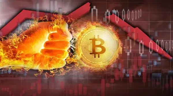 imtoken冷钱包_钱包冷钱包_imtoken钱包冷钱包