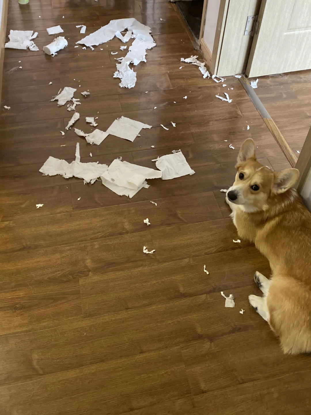 im下载地址_地址下载一下_地址下载安装