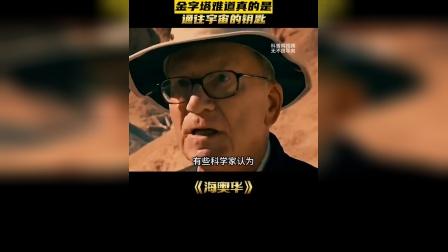 metamask手机版-Metamask 手机版：便捷安全的加密宇宙钥匙，你值得拥有