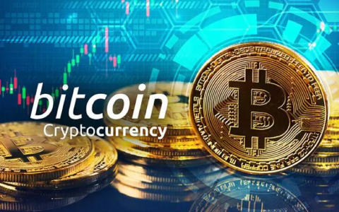 官网下载安装_tokenpocket下载官网_官网下载app豌豆荚