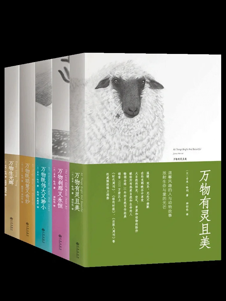 小狐狸钱包官网_狐狸钱包bsc_狐狸钱包代币