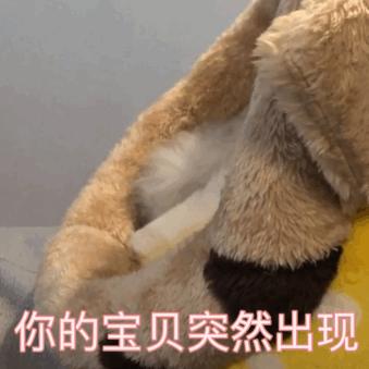 pt钱包下载-PT 钱包下载：简单易用、安全可靠，让你爱不释手