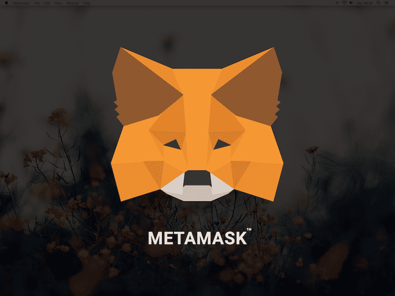 钱包手机壳好用吗_钱包手机丢了怎么办_metamask手机钱包