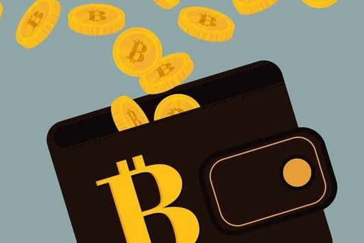 钱包怎么折_Trust钱包_钱包TrustWallet