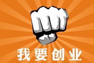 小狐狸钱包打不开matic,小狐狸钱包打不开怎么办