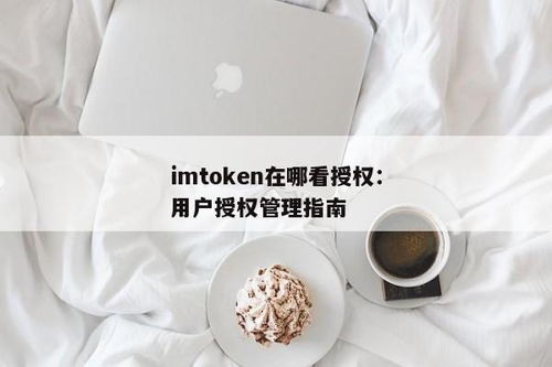 imtoken授权管理,安全与便捷并重的数字资产管理解决方案
