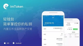 imtoken安全自测答案,小白也能轻松掌握