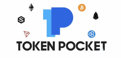 tp钱包怎么用合约地址,TP钱包使用合约地址的详细指南