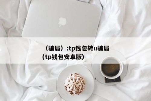 tp钱包转u通道错了,TP钱包转U通道错误处理指南