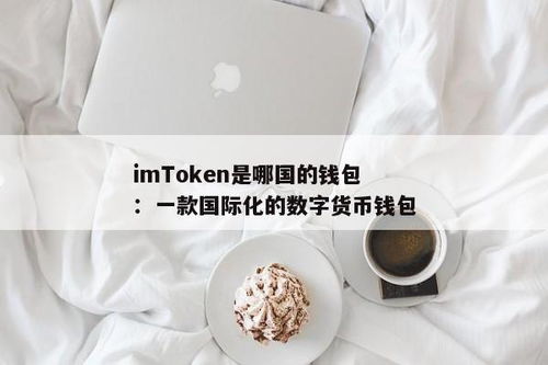 im钱包是哪个国家的,im钱包的起源与国家背景