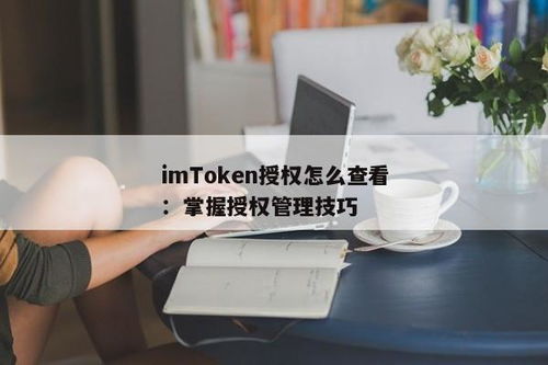 imtoken授权管理系统,区块链钱包的智能授权解决方案