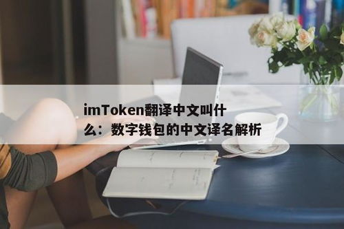 imtoken汉语什么意思,什么是IMToken？