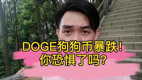 狗狗币存什么钱包,狗狗币存入钱包的指南