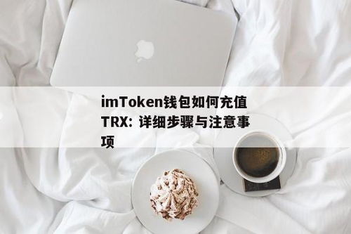 imtoken怎么充值TRX,imToken钱包充值TRX全攻略