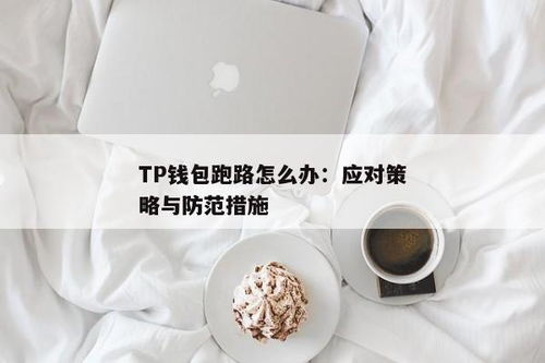tp钱包跑路怎么办,TP钱包跑路怎么办？应对策略与预防措施