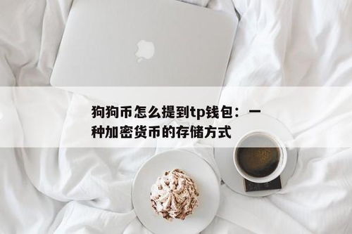 tp钱包怎么放狗狗币,TP钱包如何存放狗狗币