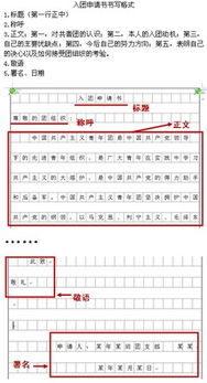 钱包助记词填写格式怎么填的正确,正确填写助记词的步骤与注意事项