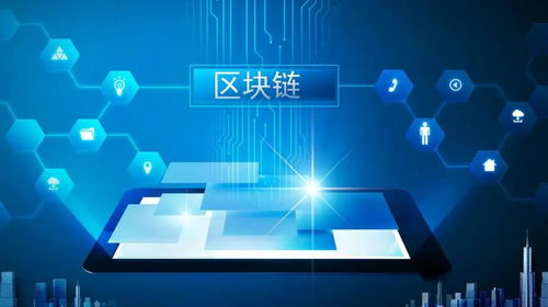 启明信息区块链项目,创新驱动下的数字化转型实践
