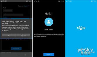 skype电话设置静音,轻松实现通话静音功能