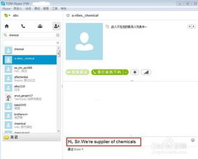 skype 搜索客户,高效外贸沟通策略全解析