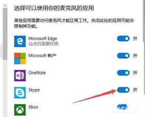 skype的麦克风怎么打开,轻松连接语音通话