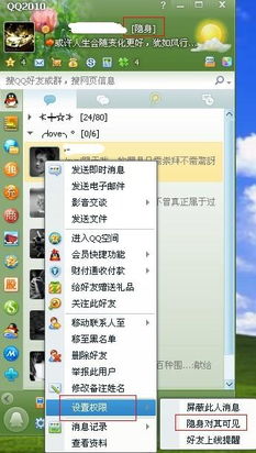 skype对方在线状态是空白圆圈,在线状态之谜