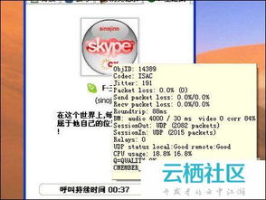 skype大陆通怎么用,Skype大陆通使用指南