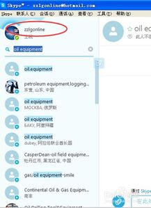 skype查找,轻松生成个性化文章副标题