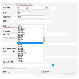 skype的id和账号,全面指南与实用技巧