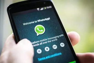 迪拜伊朗医院whatsapp,通过WhatsApp便捷获取医疗服务与出生证明