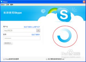 skype掉线解决方案,Skype掉线问题全面解析与高效解决策略