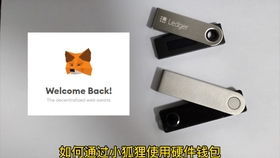 小狐狸钱包测试转币,小狐狸钱包测试币转币操作指南与技巧