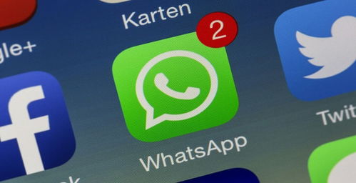 国内手机注册的whatsapp账号是什么,国内手机注册WhatsApp账号的注册攻略与注意事项