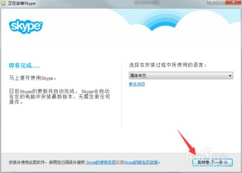 skype1996