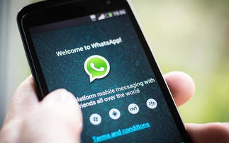 华为whatsapp无法登录,华为用户whatsapp登录难题解析与解决策略