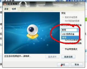 skype 看不到对方视频,揭秘视频消失之谜