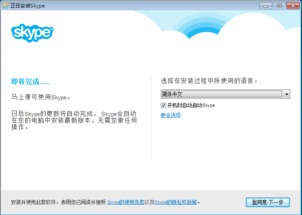 skype登录ie