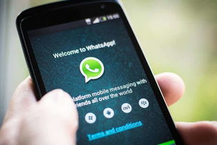 黑鲨不能用whatsapp,无法使用WhatsApp的科技新篇章”