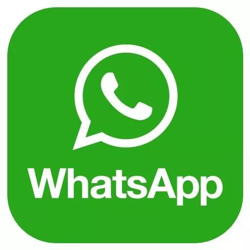国内怎么下载使用用whatsapp