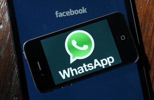 加哈萨克斯坦whatsapp,社交新潮流与文化交流的桥梁