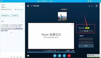 skype 开会,高效沟通的云端桥梁