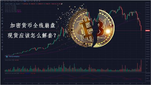 加密货币崩盘视频,揭秘市场动荡背后的真相