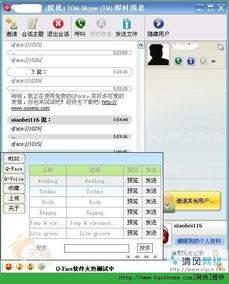 skype的插件设置,解锁沟通新境界
