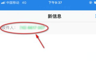 skype发信息到移动号码,Skype短信功能助力轻松联系移动号码