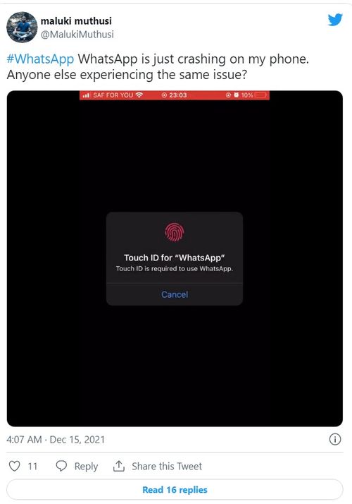 华为手机whatsapp闪退,原因排查与解决攻略