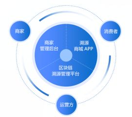区块链商品安全平台,构建透明可信的溯源体系