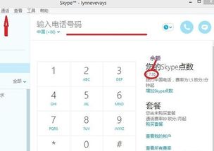 skype打大陆座机怎么打,轻松掌握Skype拨打大陆座机教程