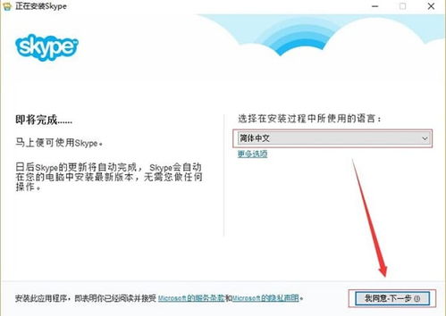 skype的英文是什么意思,Unveiling the English Translation of 'Skype'