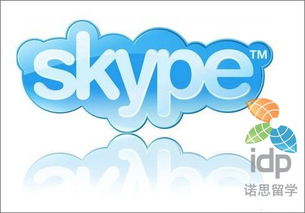荷兰大学skype面试,体验跨国教育交流新篇章