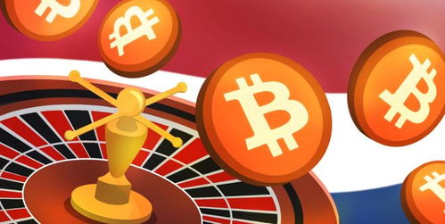 荷兰人使用加密货币吗,荷兰民众热衷于加密货币投资与应用